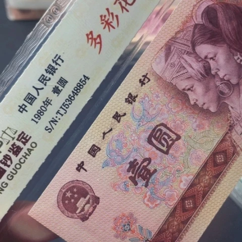 【闪购商品】801多彩一张一张一张随机