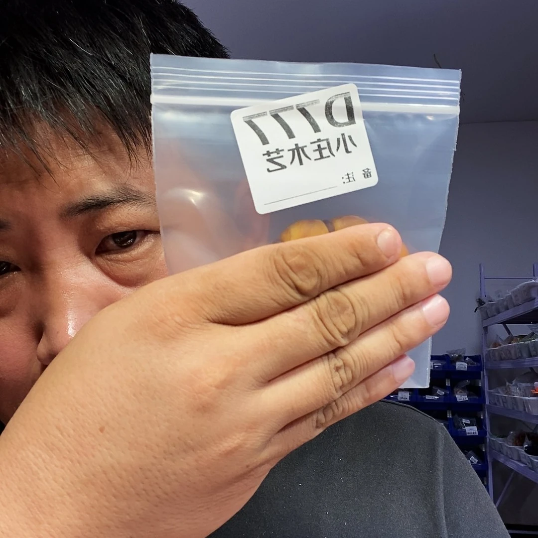 【闪购商品】黑檀木。   777