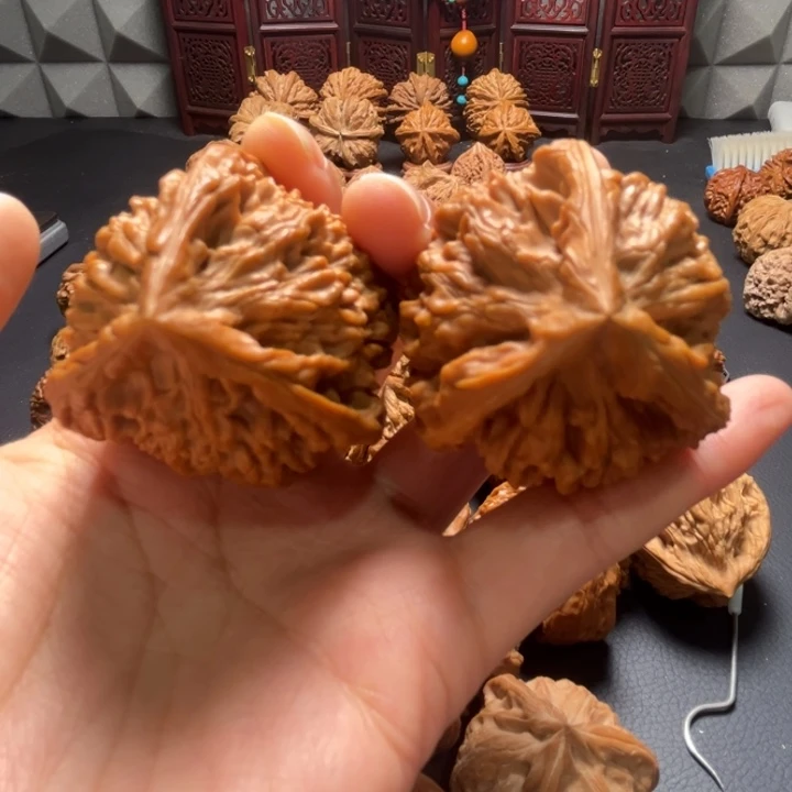 官帽三棱43尺寸核桃哈哈哈哈哈哈