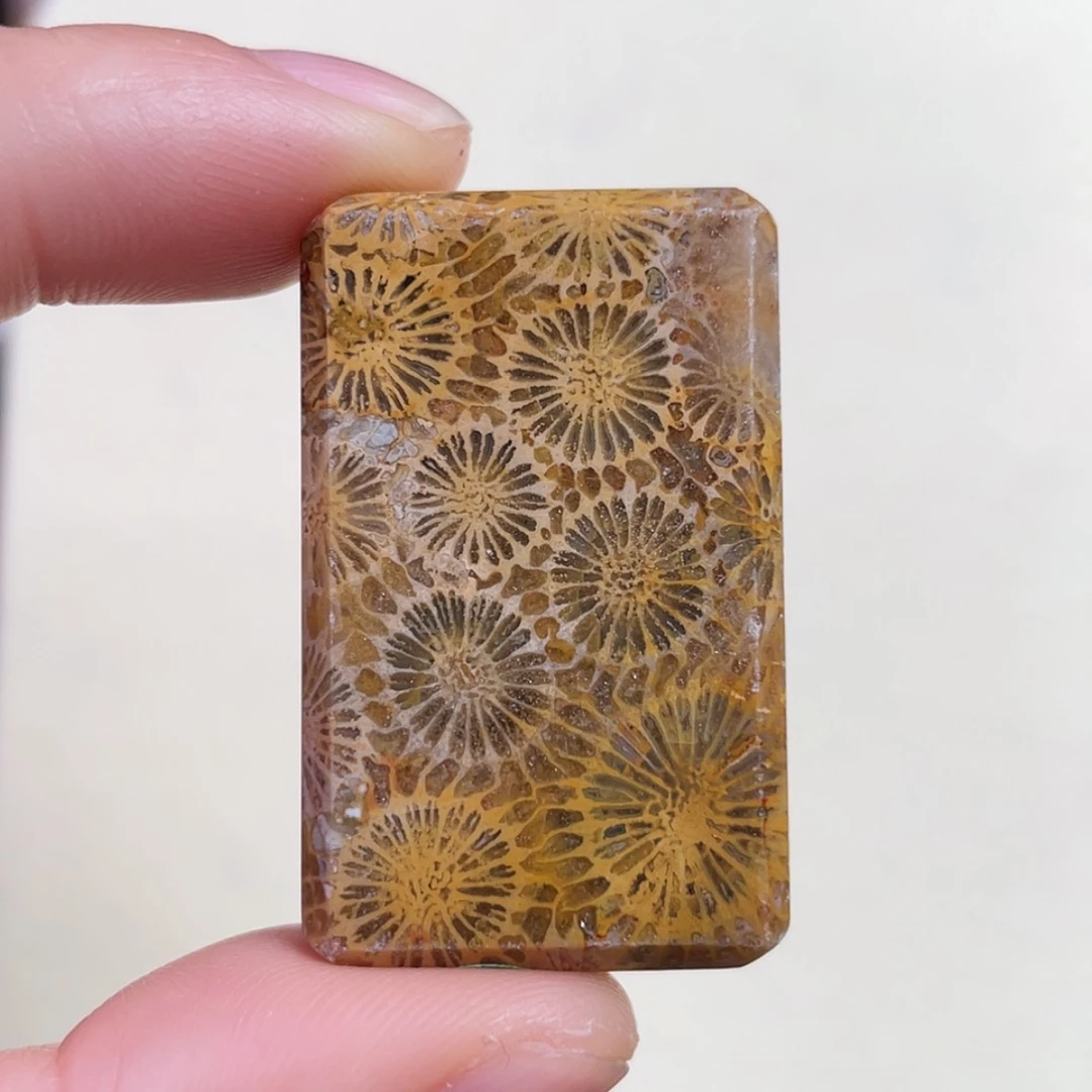 【闪购商品】硅化玉吊坠(赠链)未镶嵌