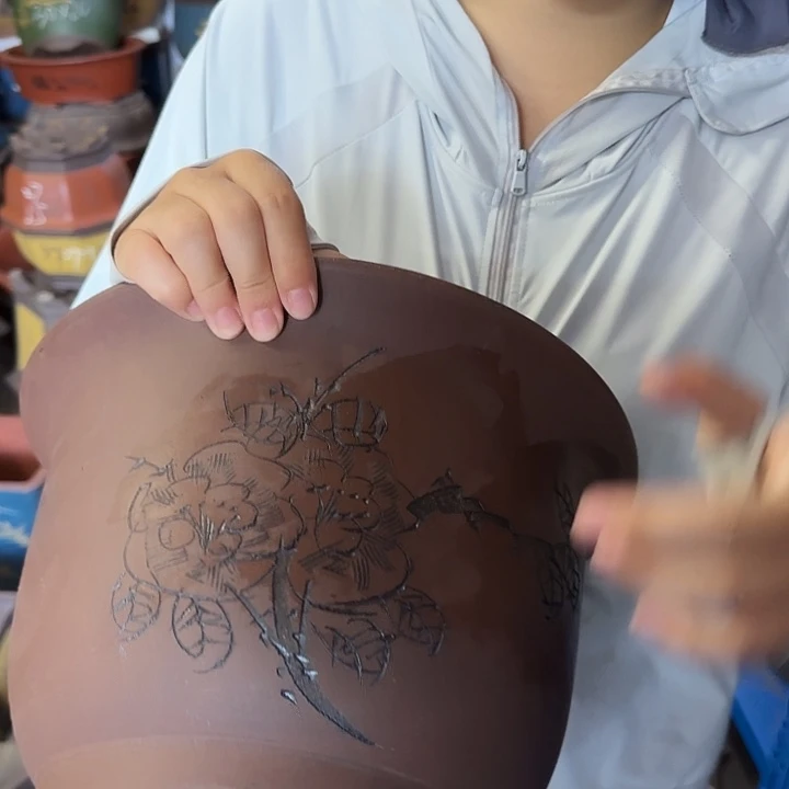 30平角金钟花盆花盆×5个