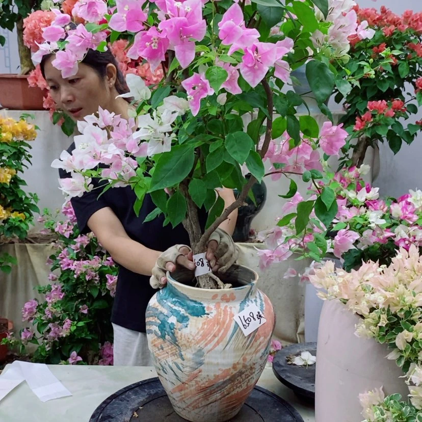 【闪购商品】完全开放