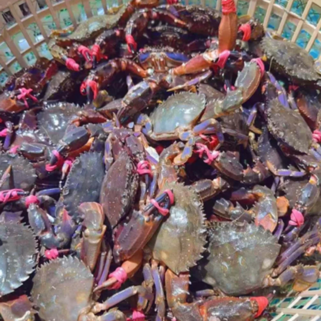 添好运赤甲红2斤装（段氧）