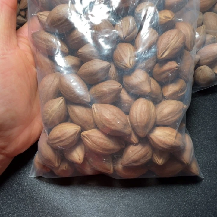 手串/手链猪牙我是