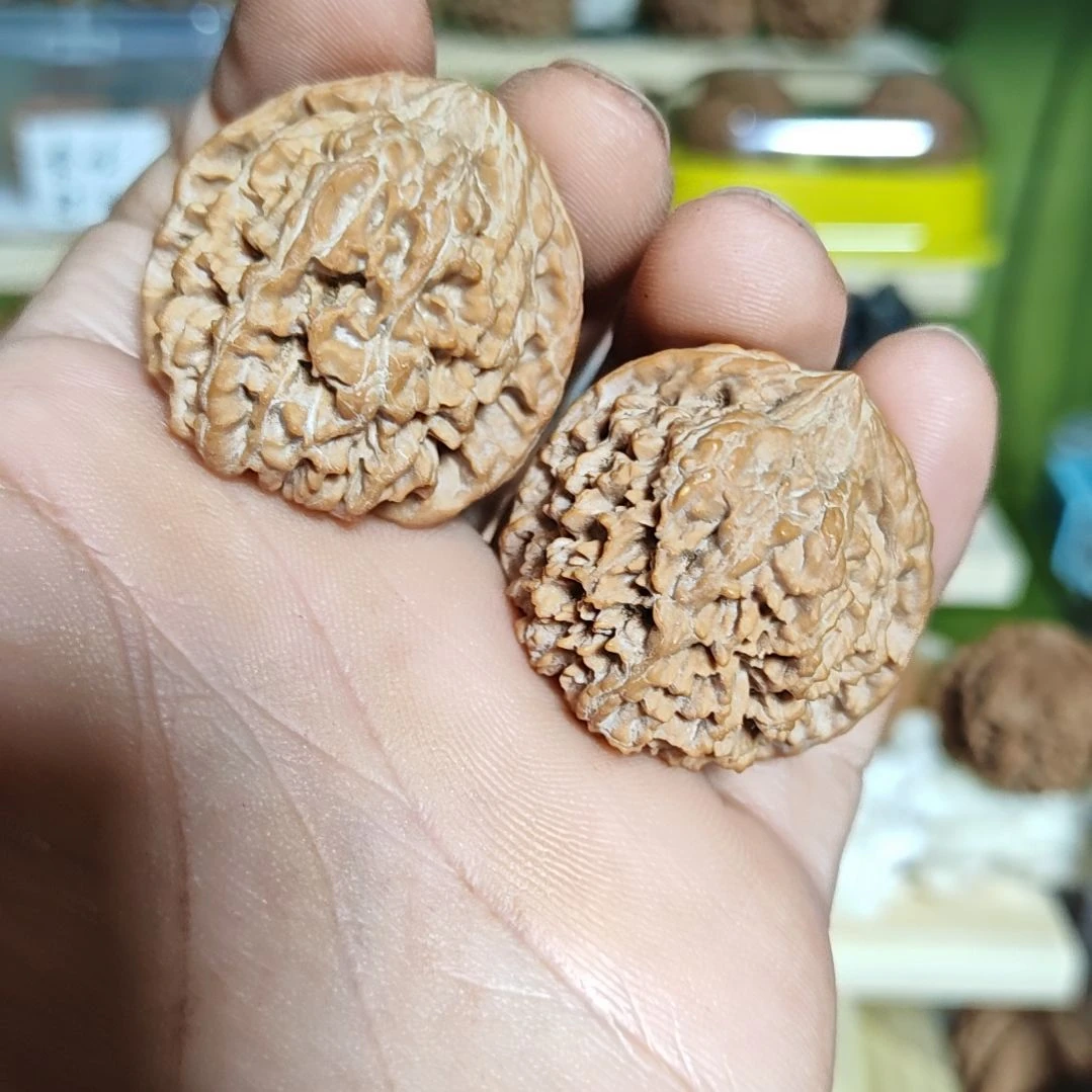 36尺寸，满天星狮子头