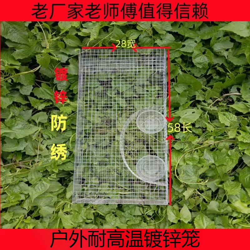 加密养殖笼户外大号单双进口捕笼镀锌笼耐高温兔子笼宠物笼