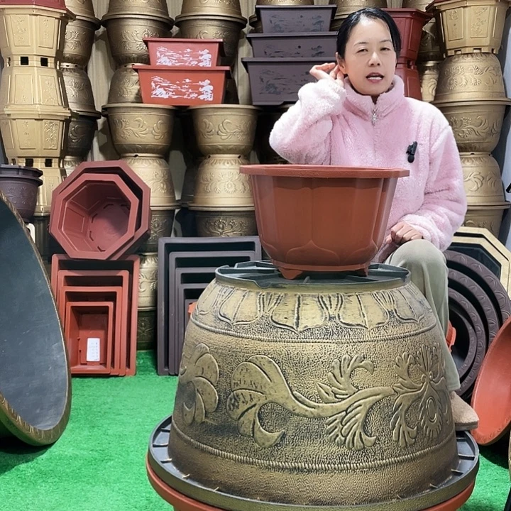 莲花盆红色四零四个