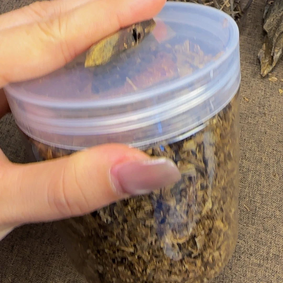 芊***翊陆河老树丁，花香果香蜜香