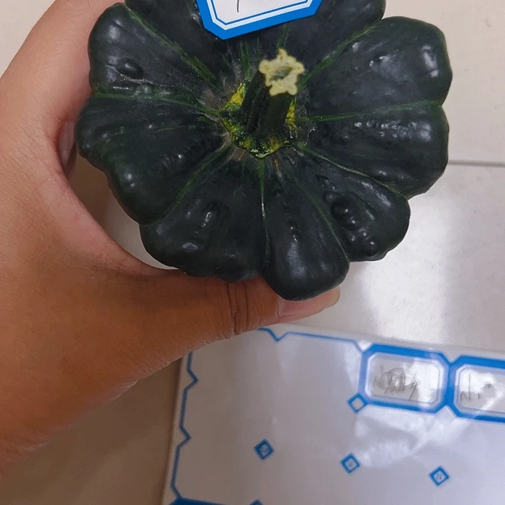 葫芦中国大陆辰*