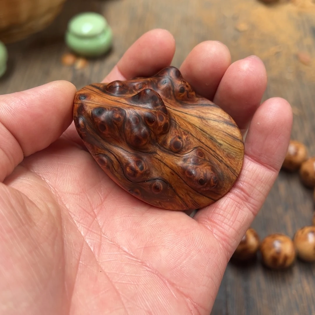 卍****༻太行崖柏陈化太行