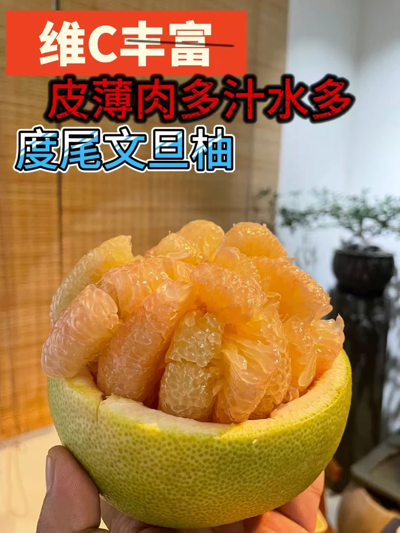 【正宗】仙游度尾文旦柚精品特级果 30年老树新鲜采摘当季孕妇水果