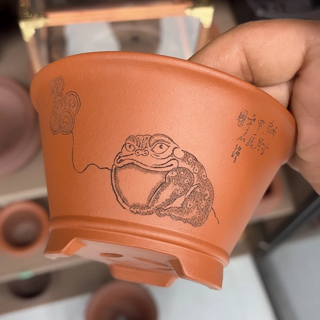 紫砂花盆紫砂的花开了没有