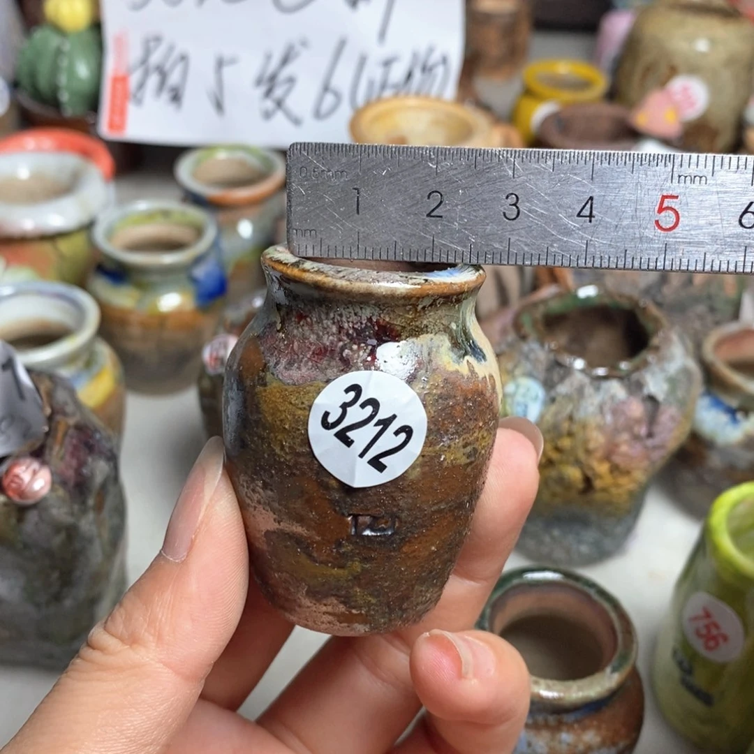 拍5送一个小礼物