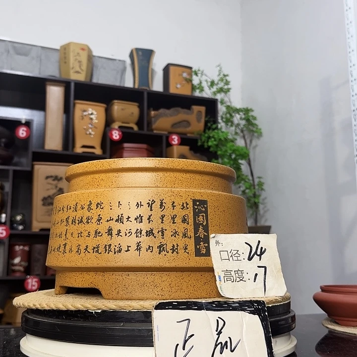 紫砂花盆盆友记紫砂
