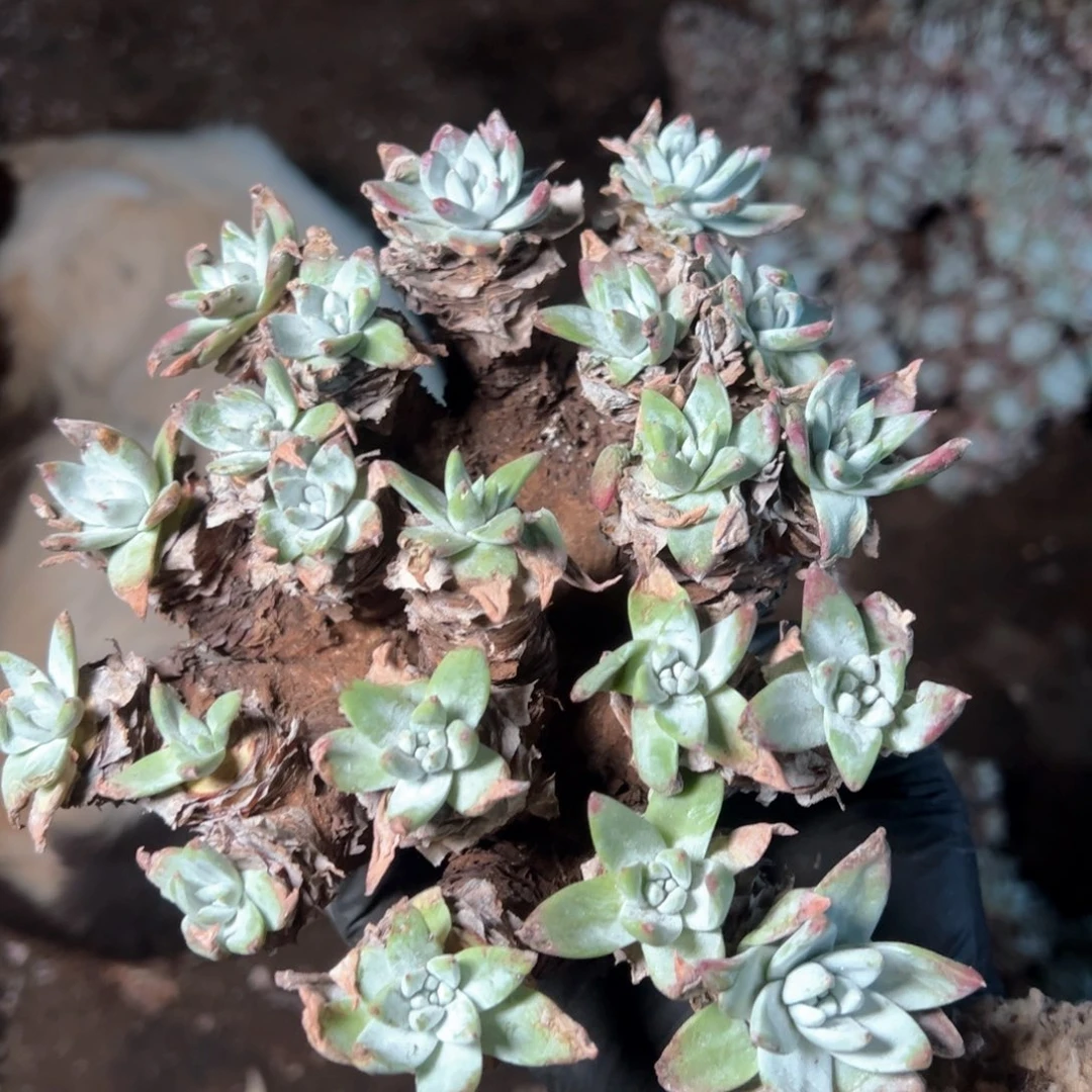 M**袁6859哈哈哈哈哈哈哈哈