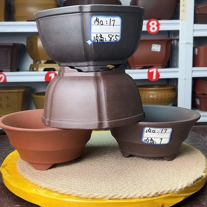 紫砂花盆蛇年大吉