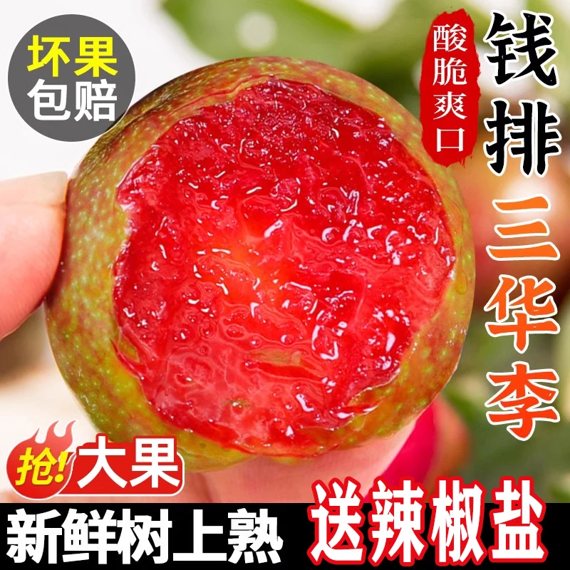 钱排三华李李子新鲜水果孕妇当季酸脆青李红心李子现摘脆甜整箱