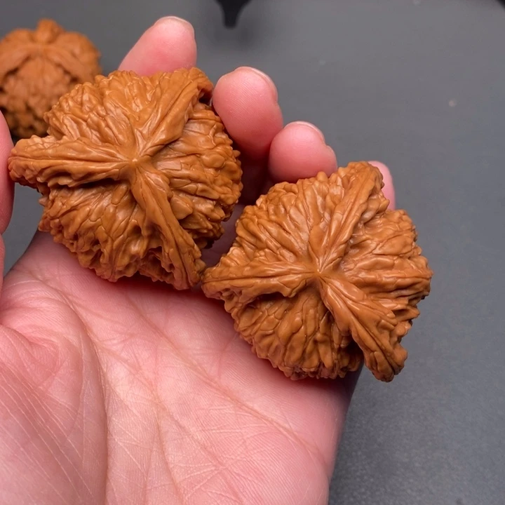 彼***花木质类核桃核桃核桃