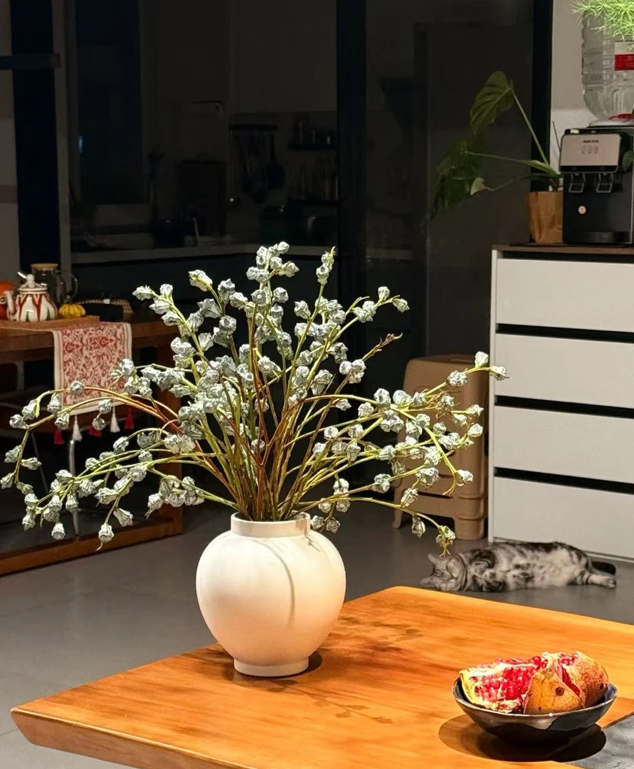 新鲜尤加利果昆明基地直供可做干花装饰家居花材