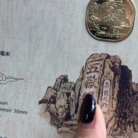 其他普通金属泰山卡册一包20本