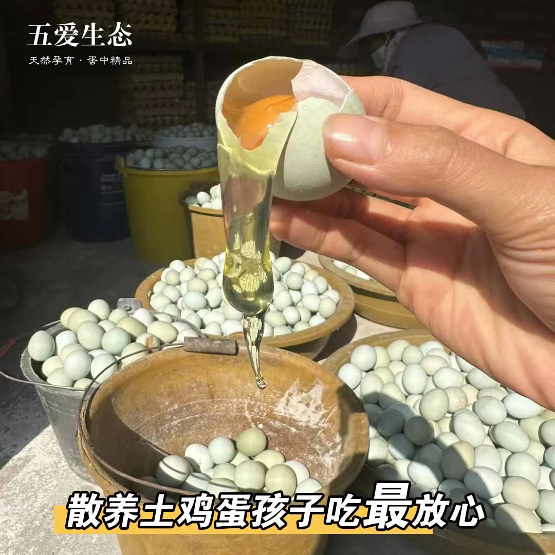 生态散养绿壳土鸡蛋｜天然健康绿色土鸡蛋 农家农场基地直供 10枚装1斤左右