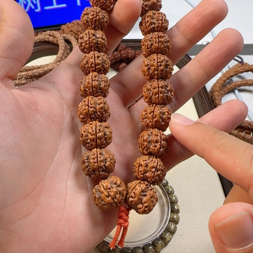 手串金刚菩提帝王花