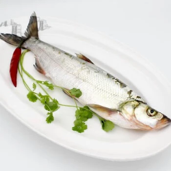 东北私人冷水翘嘴岛子白鱼7斤多条包邮清蒸鲈鱼