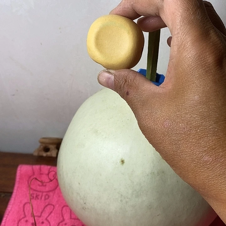 ˙***大青皮葫芦手把件摆件