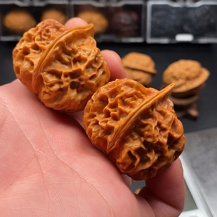 吊坠文玩核桃异形珊瑚元宝蟾