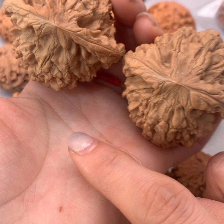 把件文玩核桃全品龙鼎56