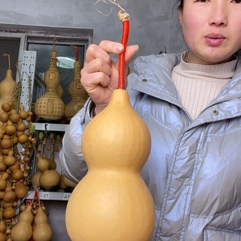 彭*阅天然植物葫芦文玩