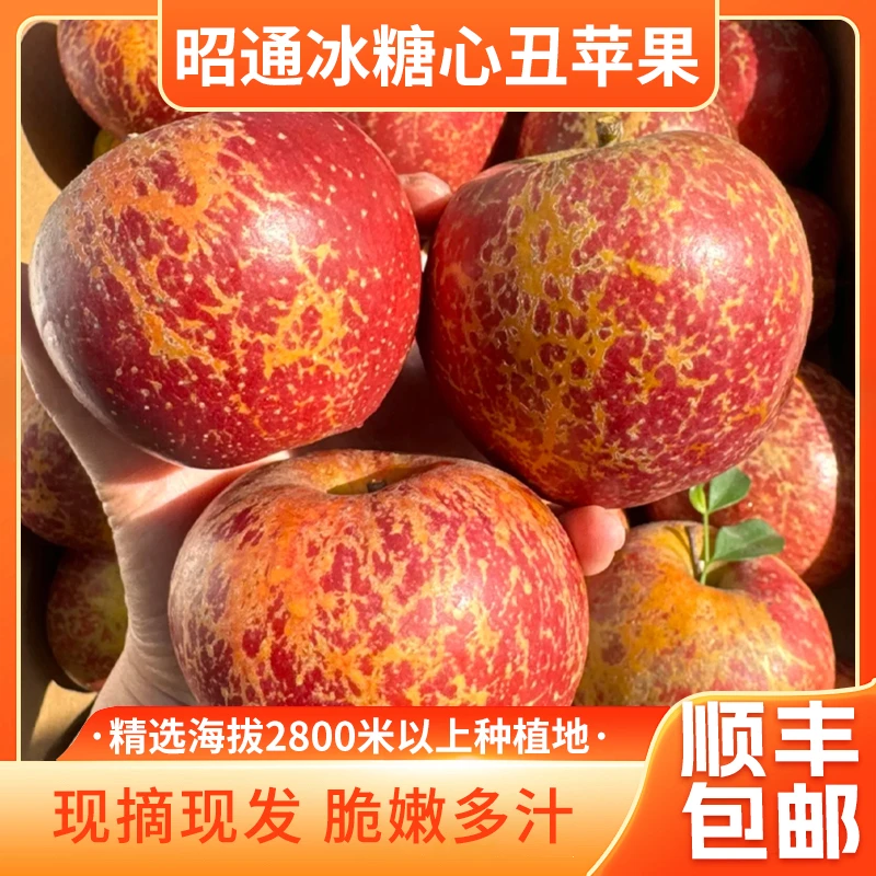 【顺丰包邮】云南昭通丑苹果冰糖脆甜爽口多汁新鲜水果现摘现发
