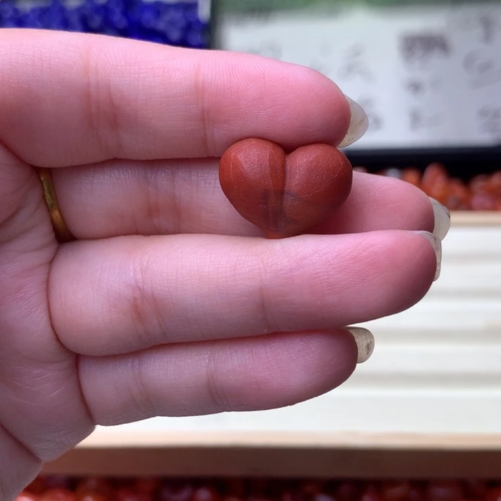 阿***蕾南红玛瑙未镶嵌珠宝半成品6