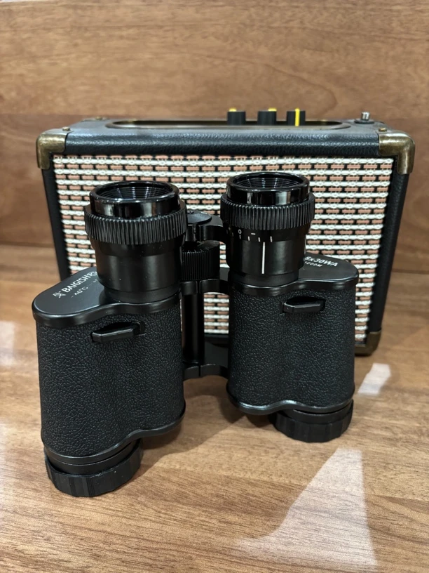 贝戈士2025款金色编码中调版本