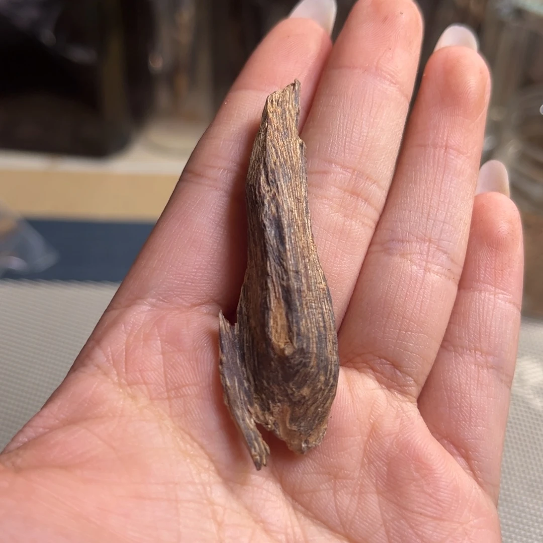 沉香海南根部老料2克