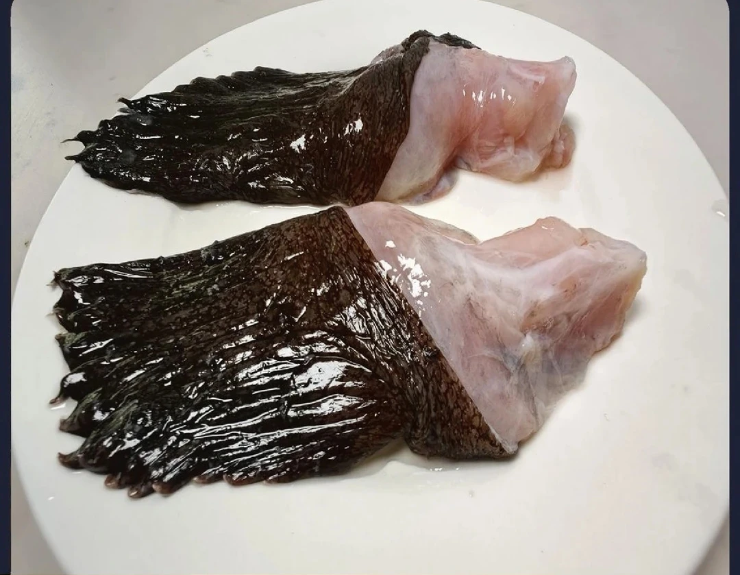 大连发货 野生安康鱼鳍（顺丰发货）