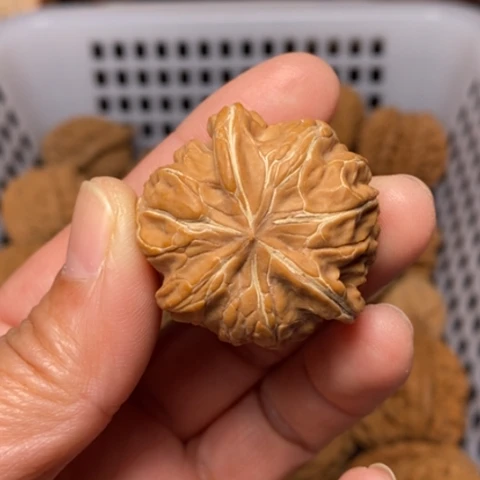 低***多把件文玩核桃核桃