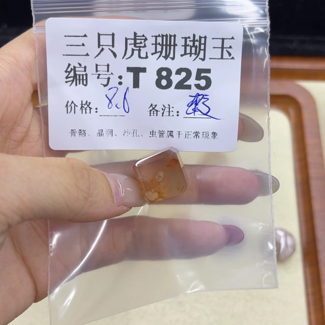*****硅化珊瑚（珊瑚玉）h未镶嵌