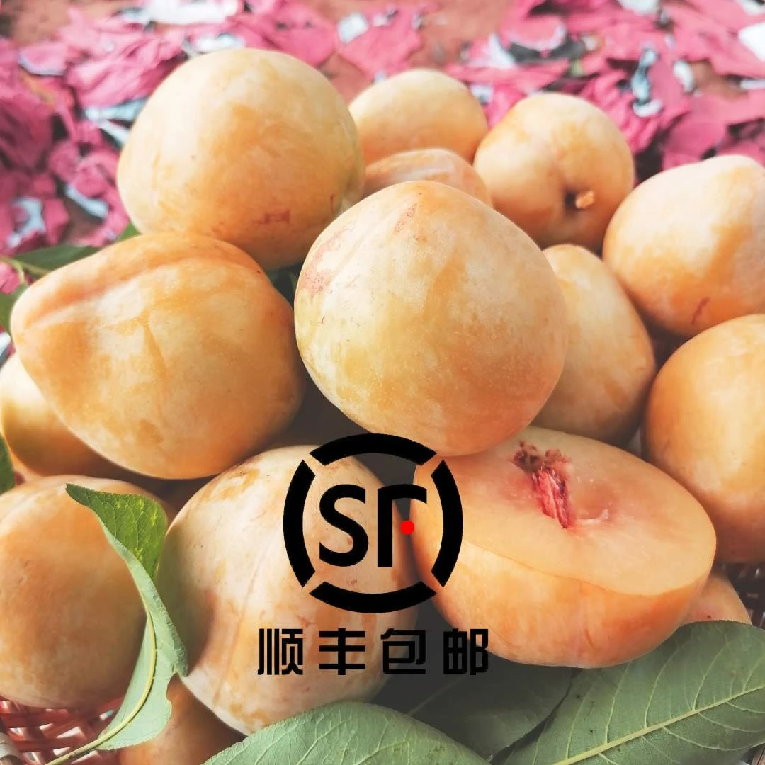 【顺丰包邮】贵州正宗贵州黄金奈李