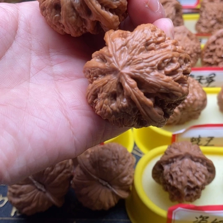 大叶紫檀（黑酸枝木类）粗筋