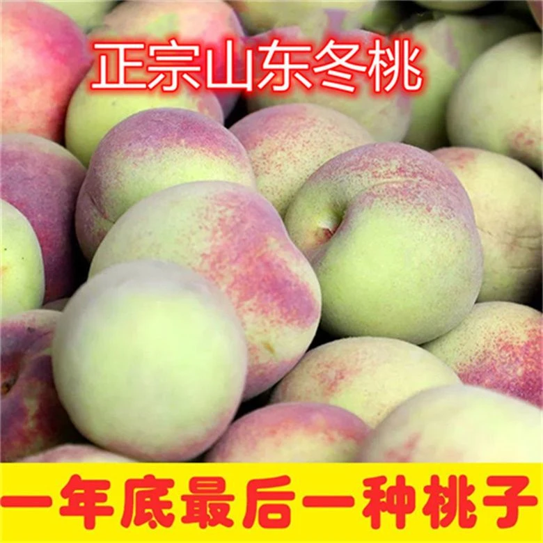 山东临沂脆甜小冬桃应季自然成熟白桃口感好高山果园农家自种