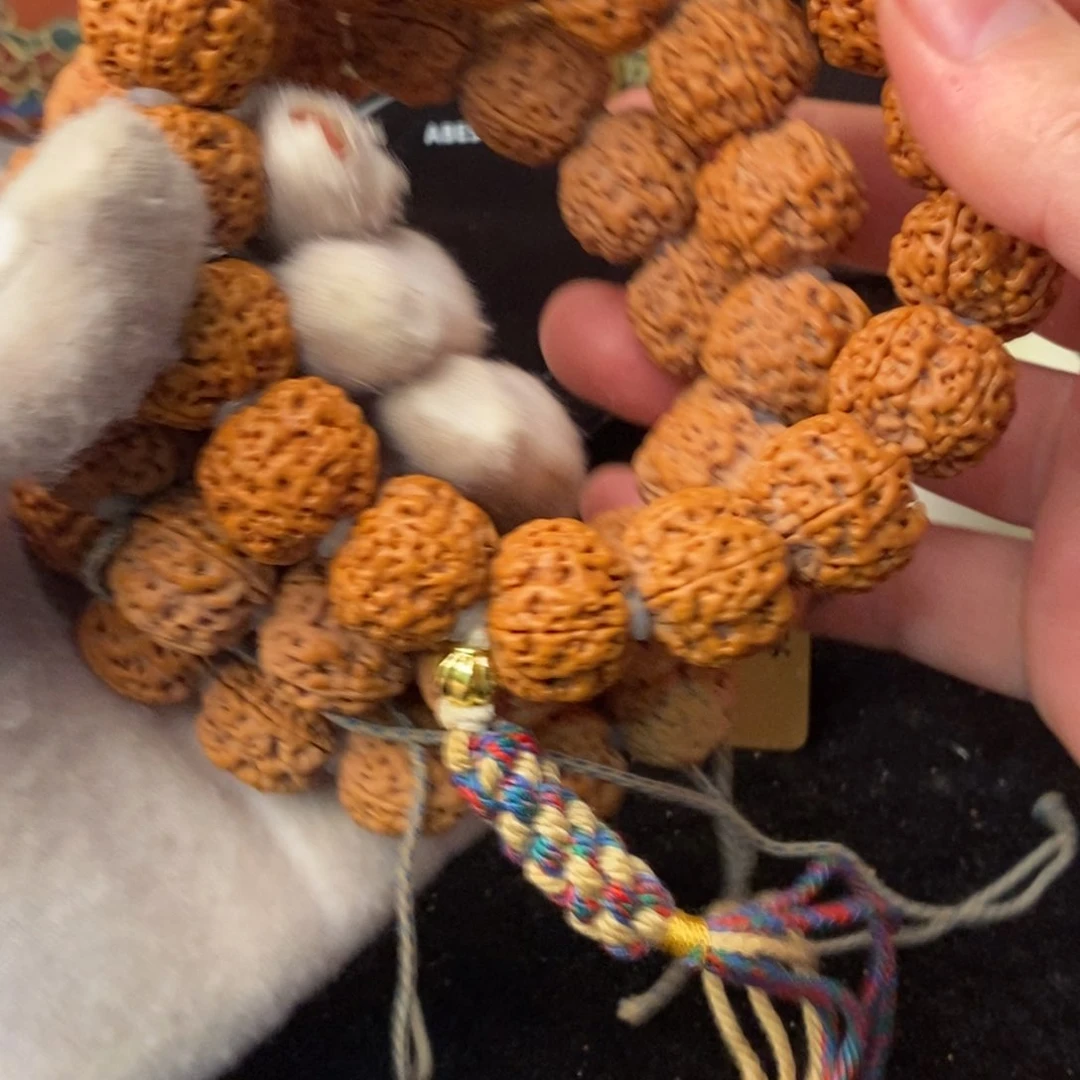 金刚菩提吊坠碳****员三条矮桩