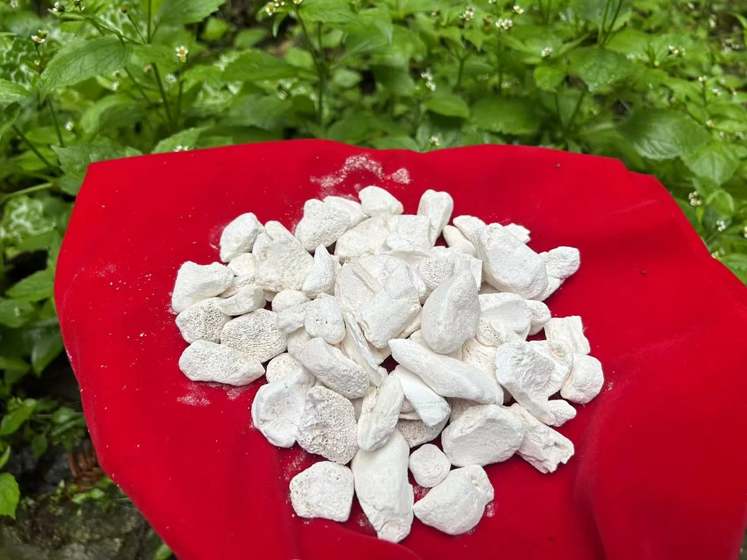 1【龙-嗗-】净含量-100-500g【阿婷现收】非菇类