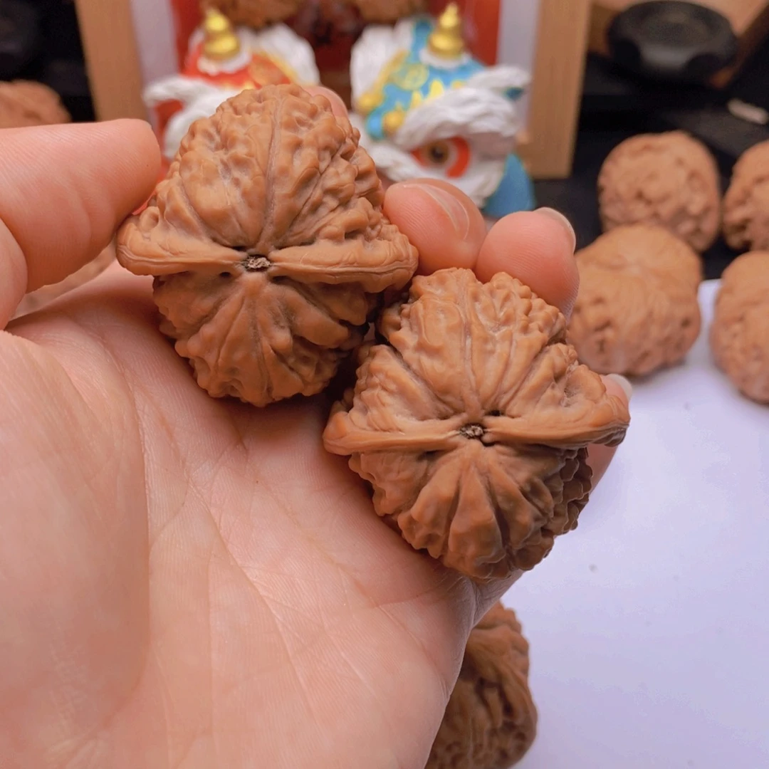 走***看41尺全品莲花老树A499