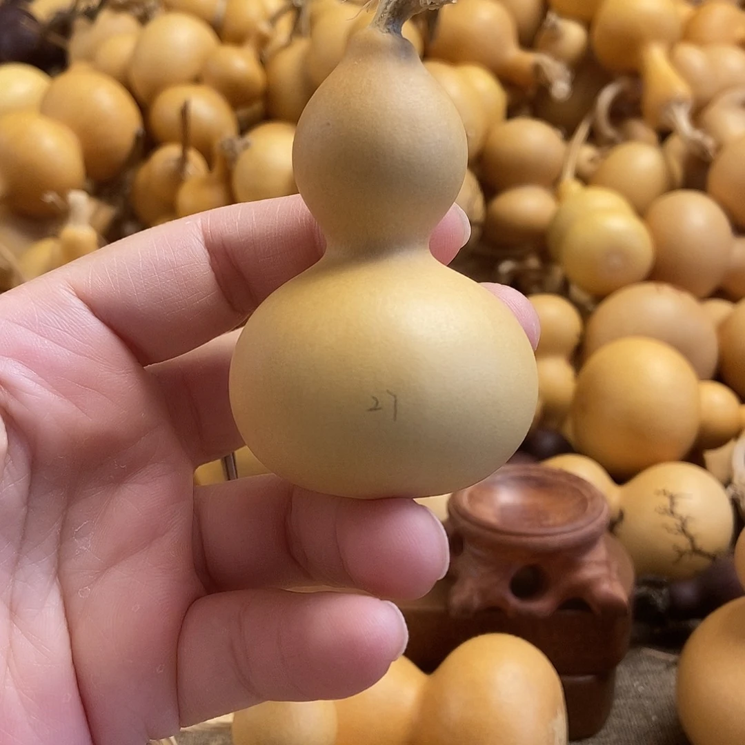 文玩葫芦 完美主义者 慎拍27