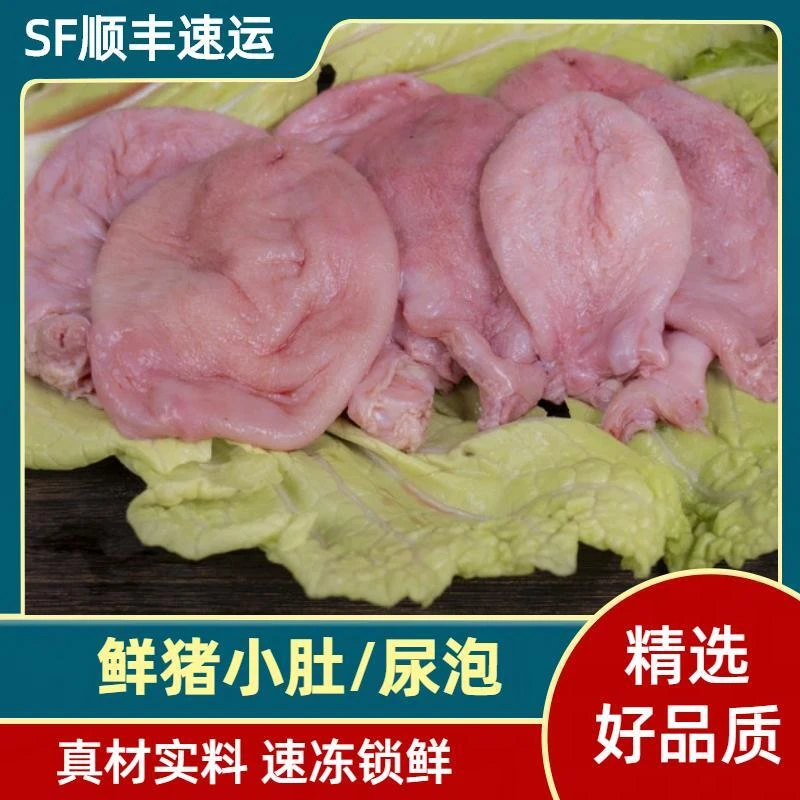 【买5斤送1斤】新鲜猪小肚猪膀胱猪尿泡卤菜食材商用3斤5斤顺丰包邮