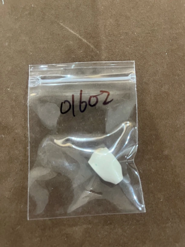 01602亚齐猛犸鲨鱼背配饰