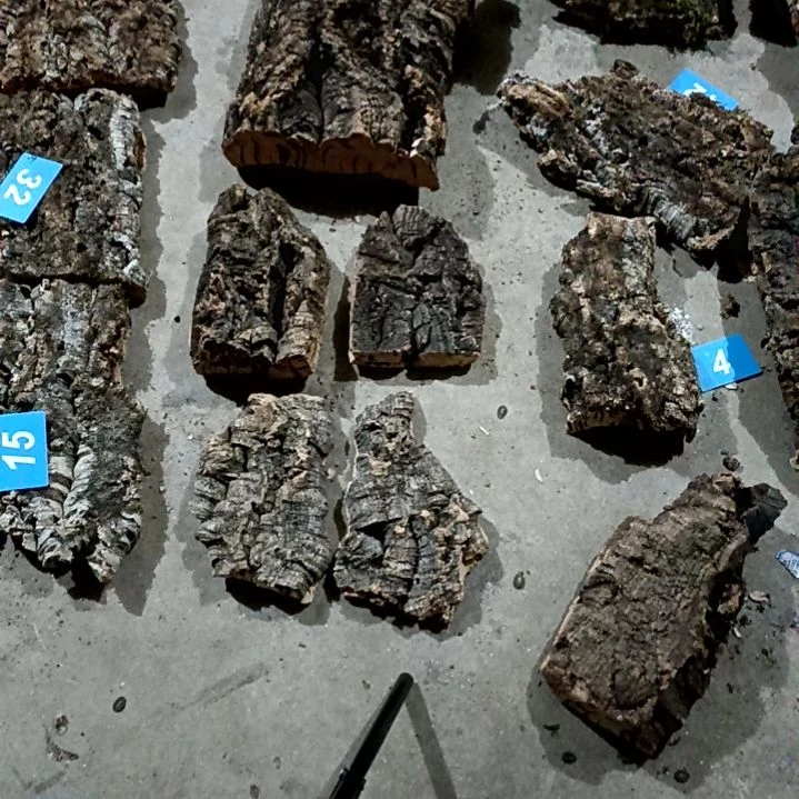 木一物一拍一物一发