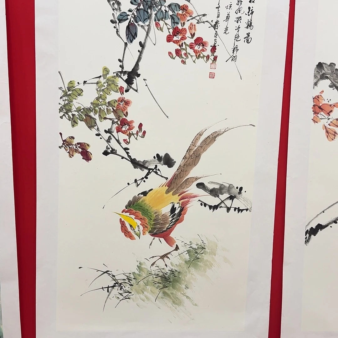 国画新号开播福利多多