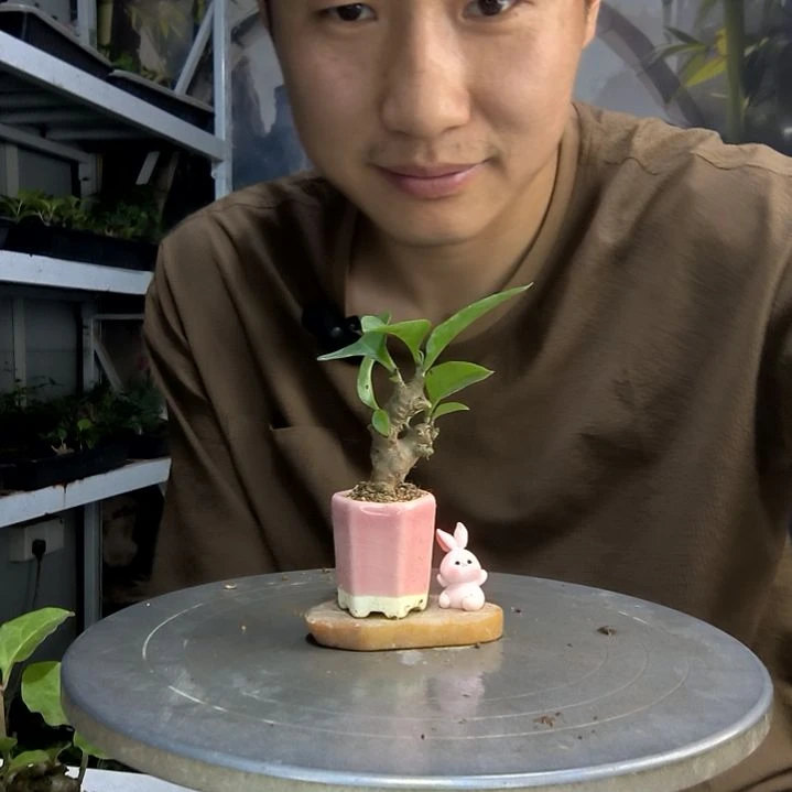 用****1中青园艺一物一拍31